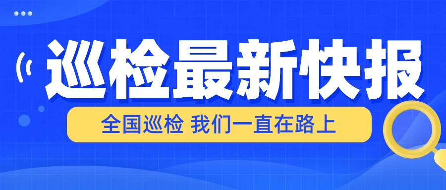 巡检快报